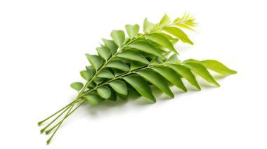 garnishing-instructions-image
